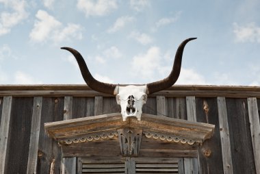 boynuzları üzerinde giriş