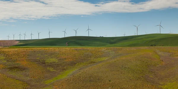 Moinho de vento paisagem — Fotografia de Stock