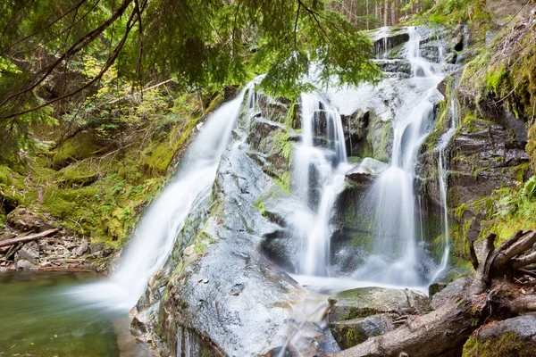 Мшиста водоспади — стокове фото