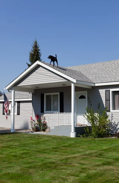 American Home with Dog — Fotografie, imagine de stoc