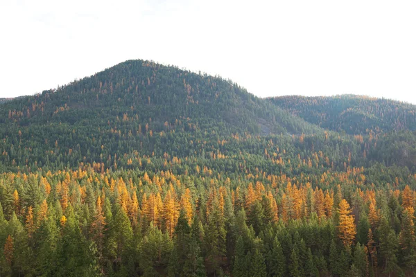 Fall Mountain Side — Stock Photo, Image