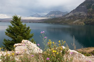 st. mary Gölü ile kır çiçekleri