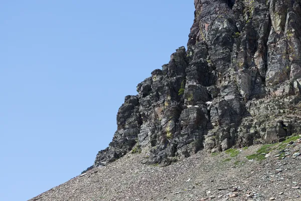 Saut de chèvre de montagne — Photo