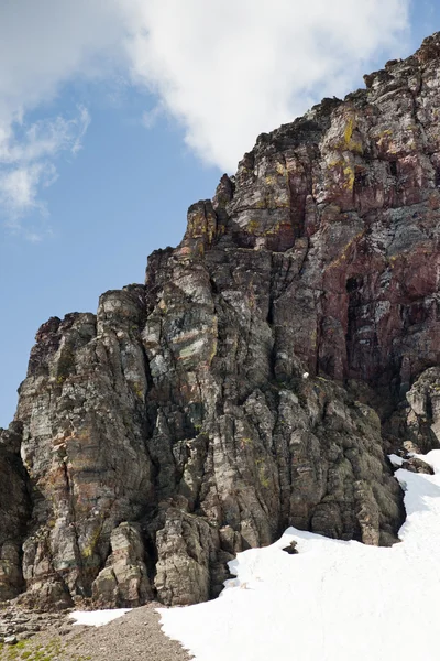 Trouver quatre chèvres de montagne — Photo