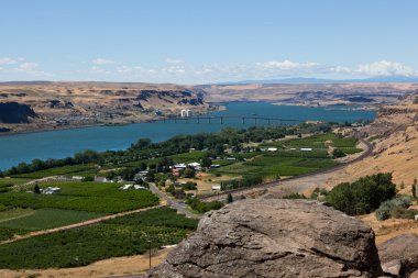 Columbia Nehri manzarası