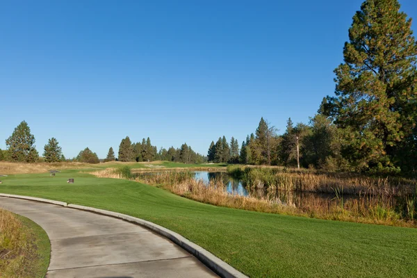 Golfbaan met vijver — Stockfoto