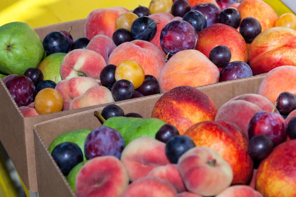 Blandad frukt i en låda — Stockfoto