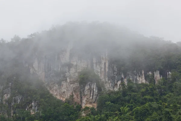 Tebing Batu kapur tropis dengan Kabutweather condition — Stok Foto