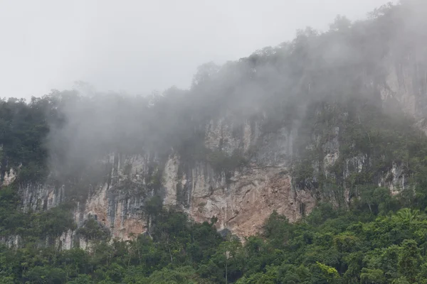Montanha da selva com nevoeiro — Fotografia de Stock