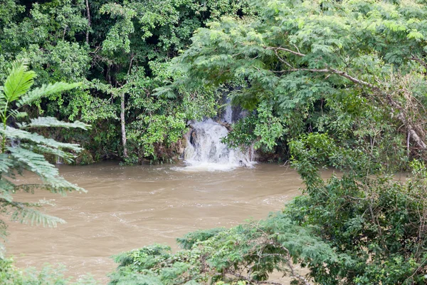 Overstroomd macal rivier in belize — Stockfoto