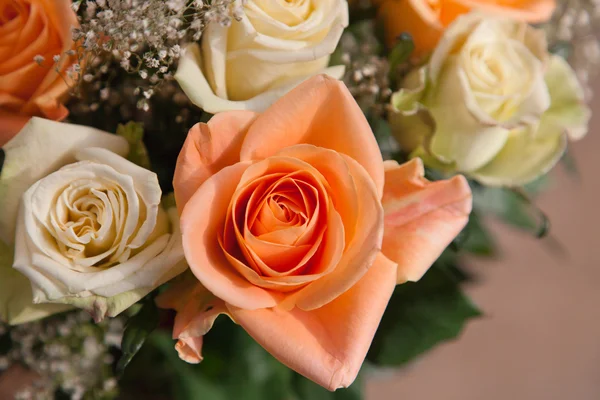 Orange Rose — Stock Photo, Image