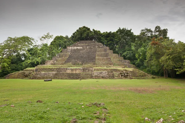 Jaguargesichter in Pyramide — Stockfoto