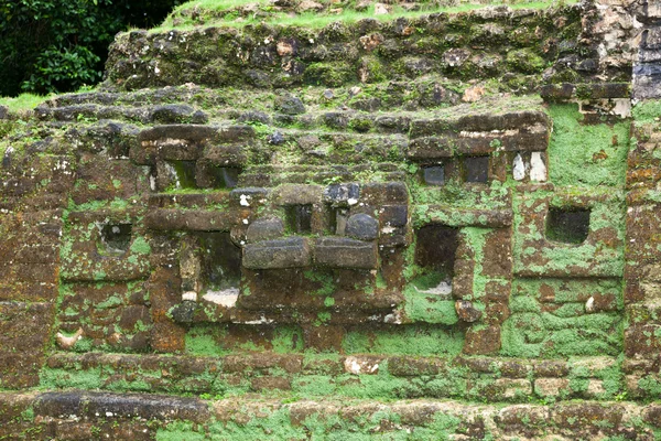 Antigua cara de piedra de Jaguar — Foto de Stock