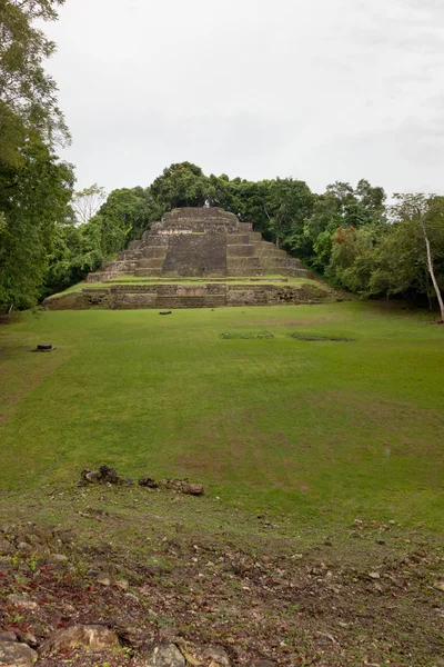 Templo de Jaguar con Campo — Foto de Stock