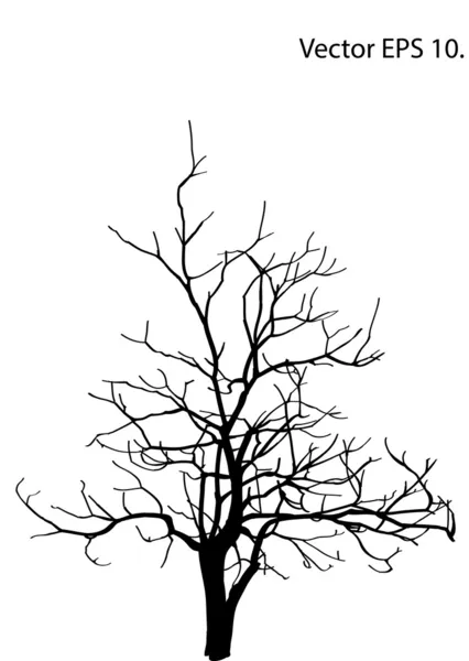 Zmarłe drzewo bez liści ilustracji wektorowych zarysowane, eps 10. — Wektor stockowy