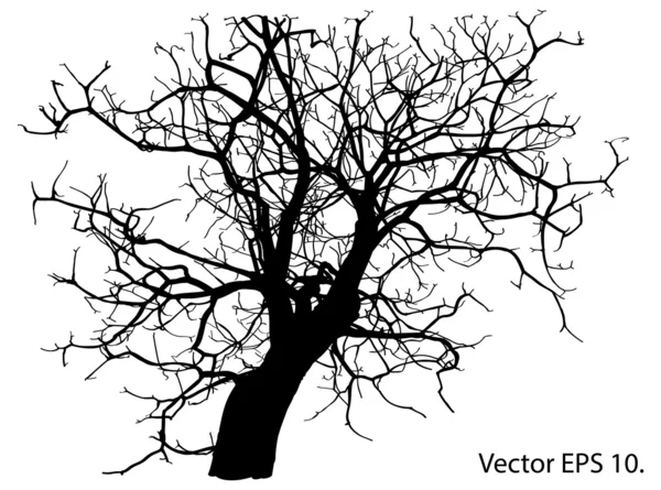 Dode boom zonder verlaat vectorillustratie geschetst, EPS-10. — Stockvector