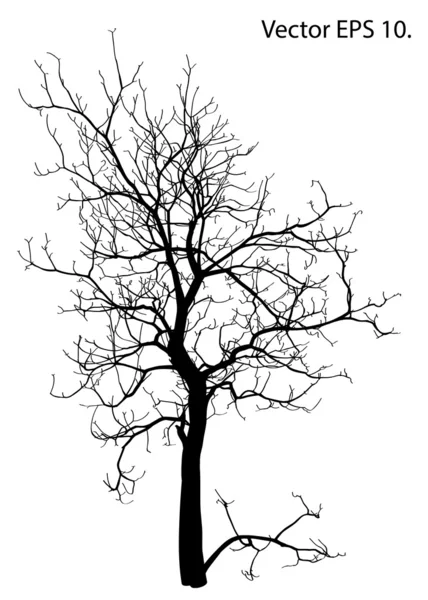 Arbre mort sans feuilles Illustration vectorielle Croquis, EPS 10 . — Image vectorielle