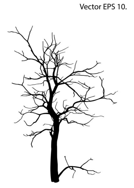Dead Tree without Leaves Vector Illustration Sketched, EPS 10. Vector Graphics