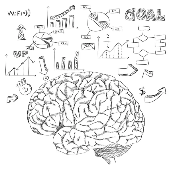 Cerebro humano con diagrama infográfico para el concepto de negocio y tecnología Esquema vectorial bosquejado, ilustración vectorial EPS 10 . — Archivo Imágenes Vectoriales