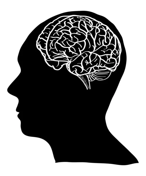 Ludzki mózg wektor zarys zarysowane w górę wektor eps ilustracja 10. — Wektor stockowy