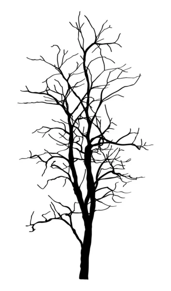 Вектор мертвого дерева без листьев нарисован на рисунке, EPS 10 . — стоковый вектор