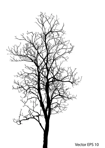 Abgestorbener Baum ohne Blätter Vektor-Illustration skizziert, Folge 10. — Stockvektor