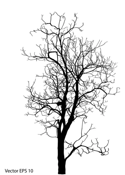 Dead Tree without Leaves Vector Illustration Sketched, EPS 10. — Stock Vector