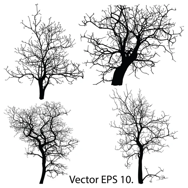 Νεκρό δέντρο χωρίς φύλλα εικονογράφηση φορέας σκιαγραφημένη, eps 10. — Διανυσματικό Αρχείο