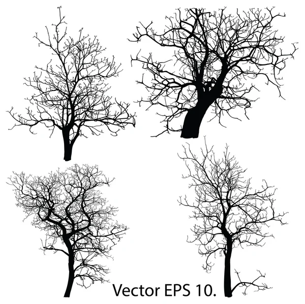 Dead Tree without Leaves Vector Illustration Sketched, EPS 10. Stock Vector