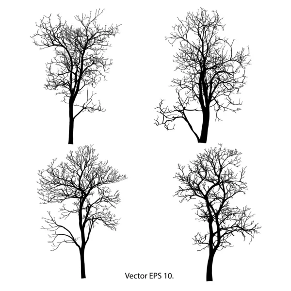 Dode boom zonder verlaat vectorillustratie geschetst, EPS-10. — Stockvector