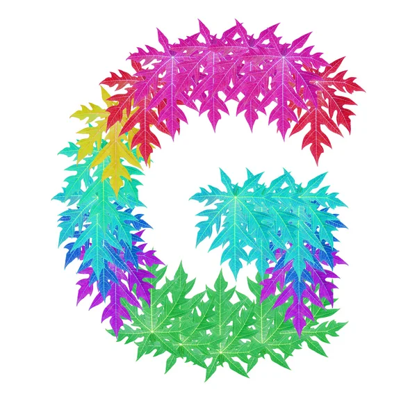 Colourful leaf alphabet character. — Stock Photo, Image