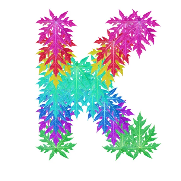 Carácter colorido del alfabeto de las hojas . — Foto de Stock