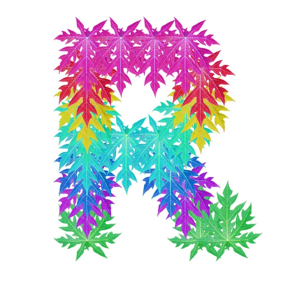 Colourful leaf alphabet character. — Stock Photo, Image