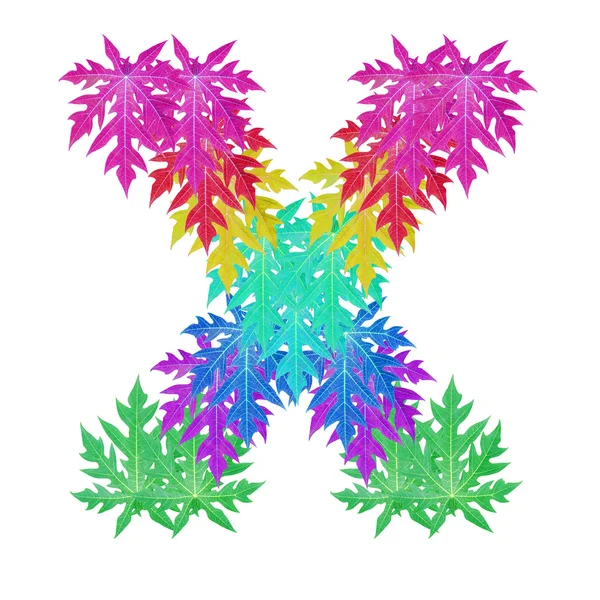 Colourful leaf alphabet character. — Stock Photo, Image