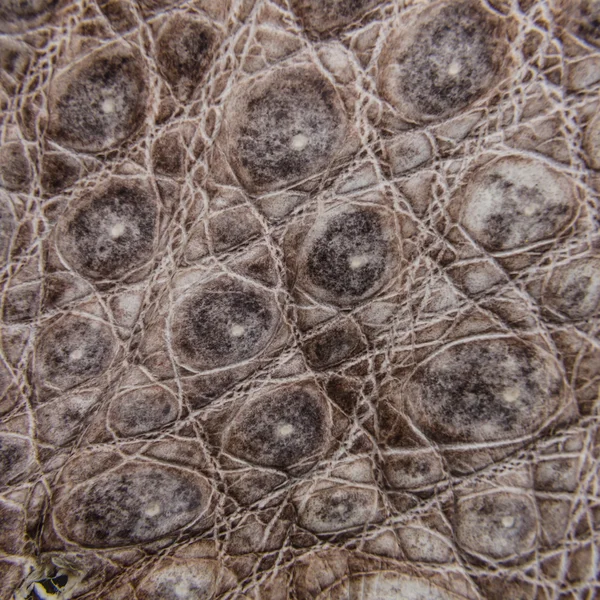 Natura pelle di coccodrillo texture sfondo . — Foto Stock