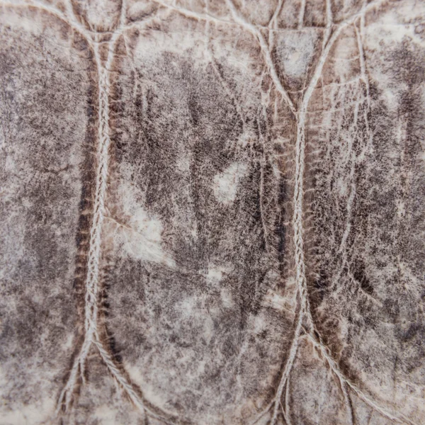 Фон текстуры кожи крокодила . — стоковое фото