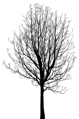 ölü ağaç olmadan kabataslak, vektör çizim eps 10 yaprak.
