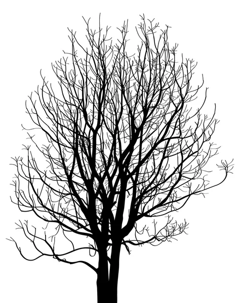 Arbre mort sans feuilles Illustration vectorielle Croquis, EPS 10 . — Image vectorielle