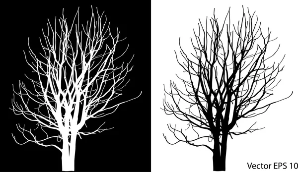 Dode boom zonder verlaat vectorillustratie geschetst, EPS-10. — Stockvector