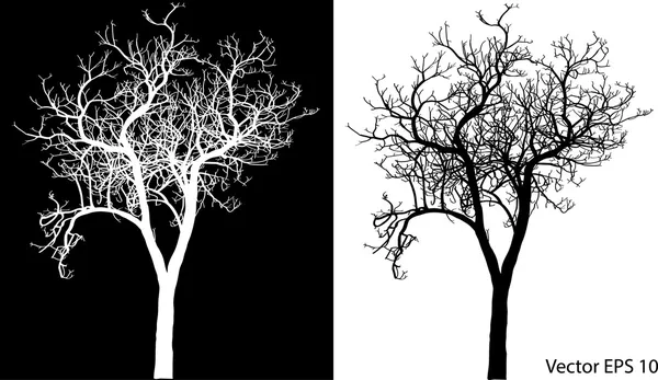 Dode boom zonder verlaat vectorillustratie geschetst, EPS-10. — Stockvector