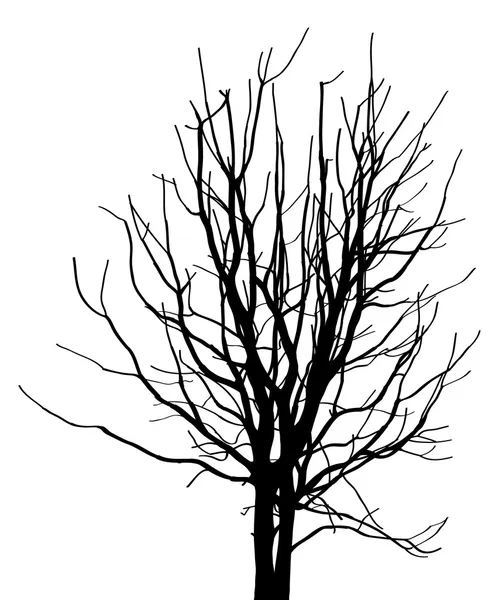 Dead Tree without Leaves Vector Illustration Sketched, EPS 10. Royalty Free Stock Vectors