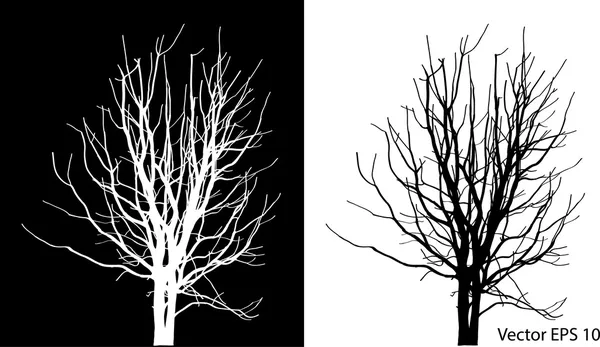 Dead Tree without Leaves Vector Illustration Sketched, EPS 10. Stock Illustration