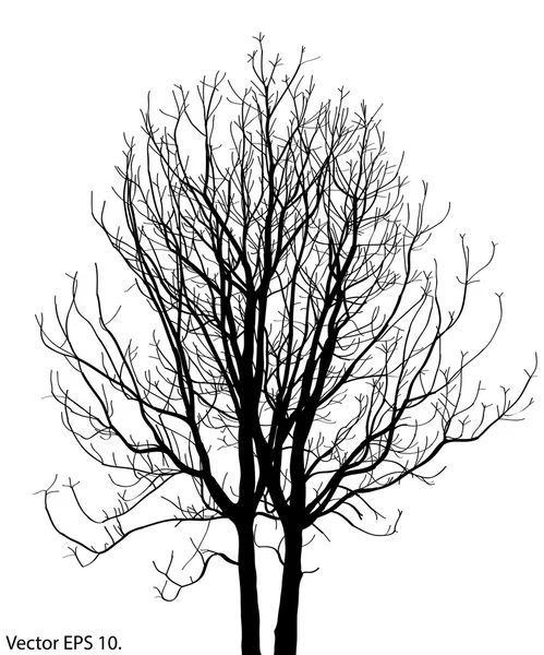 Dead Tree without Leaves Vector Illustration Sketched, EPS 10. Vector Graphics