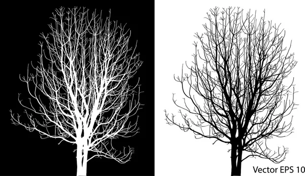 Dead Tree without Leaves Vector Illustration Sketched, EPS 10. Stock Illustration