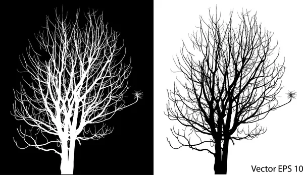Dead Tree without Leaves Vector Illustration Sketched, EPS 10. Stock Vector