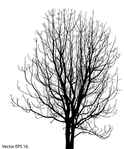 Dead Tree without Leaves Vector Illustration Sketched, EPS 10. Royalty Free Stock Illustrations