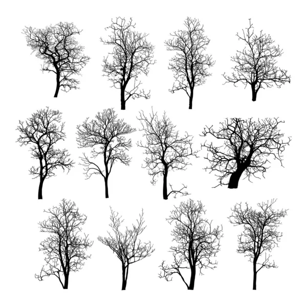 Arbre mort sans feuilles — Image vectorielle