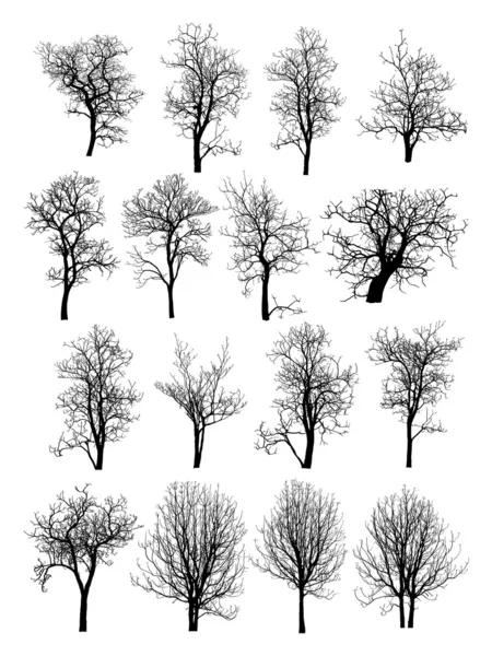 Abgestorbener Baum ohne Blätter — Stockvektor