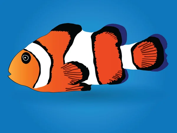 Clownfisch-Illustration — Stockvektor