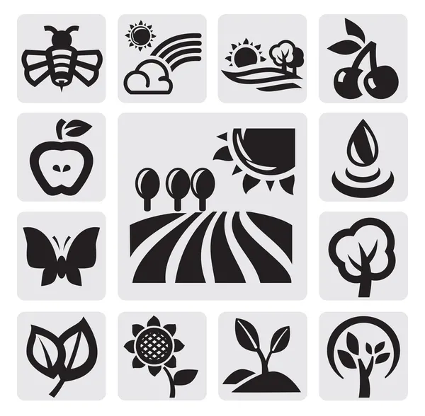 Iconos de naturaleza — Vector de stock